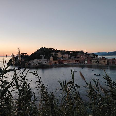 La Vie En Rose Flat Apartment Sestri Levante Exterior photo