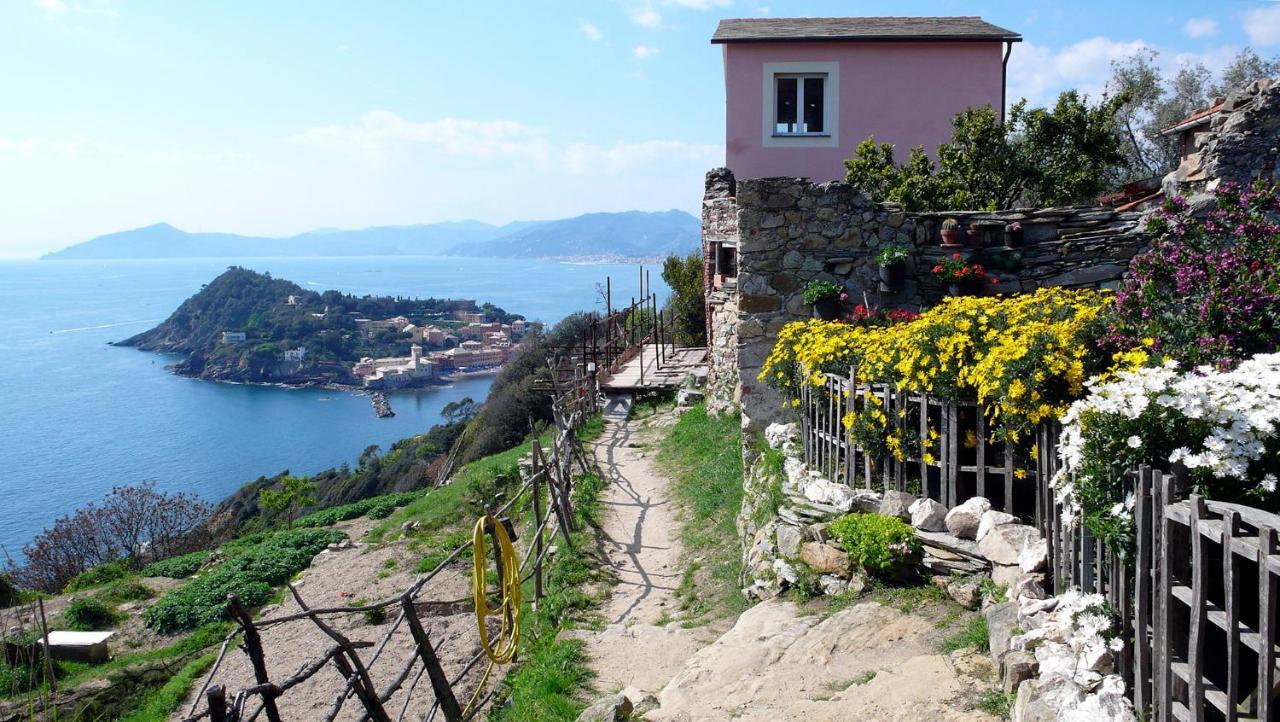 La Vie En Rose Flat Apartment Sestri Levante Exterior photo
